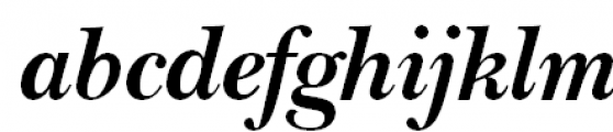 ITC New Baskerville Expert Bold Italic OSF FONT
