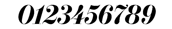 IvyBodoni Bold Italic Font OTHER CHARS