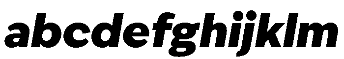 IvyEpic Black Italic FONT