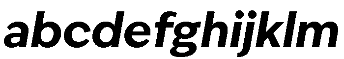IvyEpic Bold Italic FONT