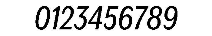 IvyEpic Condensed Regular Italic Font OTHER CHARS