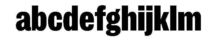 IvyGrotesque Black FONT