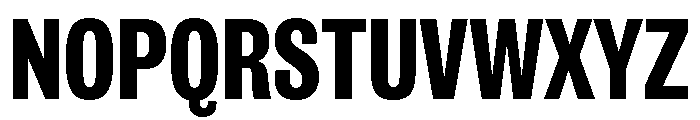 IvyGrotesque Bold Font UPPERCASE