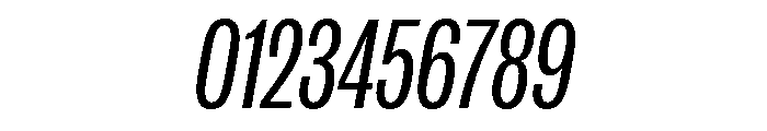IvyGrotesque Condensed Regular Italic Font OTHER CHARS