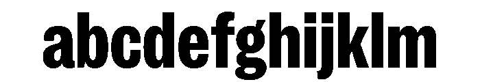 IvyGrotesque Extra Bold FONT