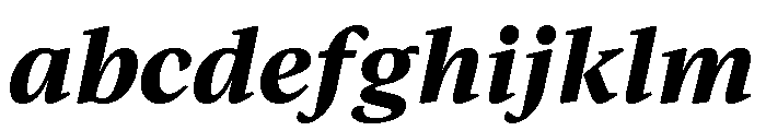 IvyJournal Bold Italic FONT
