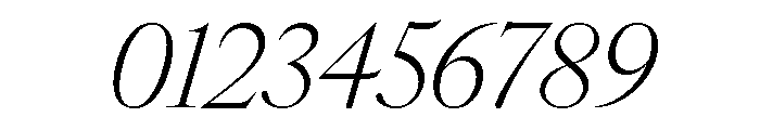 IvyOra Display Light Italic Font OTHER CHARS