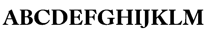 IvyOra Text Bold Font UPPERCASE