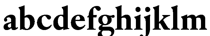IvyOra Text Bold FONT