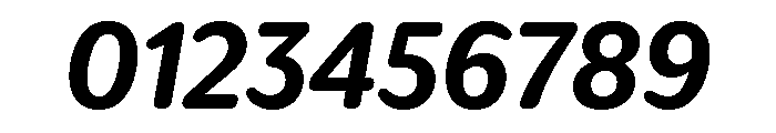 IvySoft Bold Italic Font OTHER CHARS