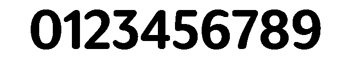 IvySoft Bold Font OTHER CHARS