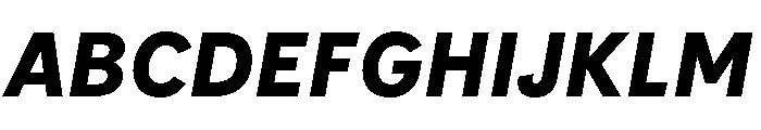IvyStyle Sans Bold Italic Font UPPERCASE
