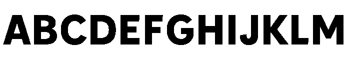 IvyStyle Sans Bold Font UPPERCASE