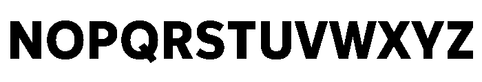 IvyStyle Sans Bold Font UPPERCASE