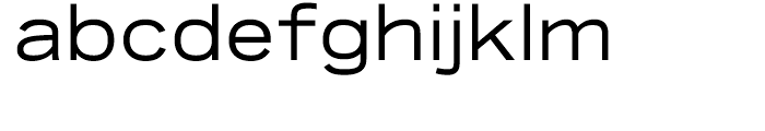 Iwata New Gothic Pro Regular Font LOWERCASE