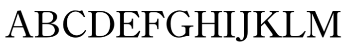 Iwata GMincho Pro Medium Font UPPERCASE