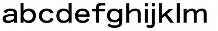 Iwata New Gothic Pro Medium Font LOWERCASE