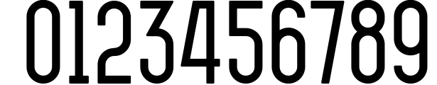 Jameson Sans-Serif 1 Font OTHER CHARS