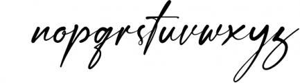 Janelotus - Signature Font Font LOWERCASE