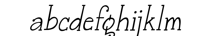 Janda Snickerdoodle Serif Italic Font LOWERCASE