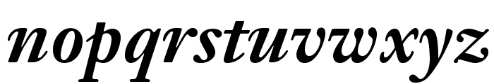 JansonTextLTStd-BoldItalic Font LOWERCASE
