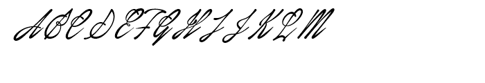 January Script Regular Font UPPERCASE