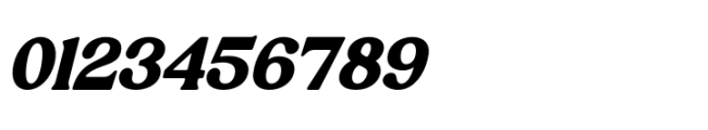 Jackets Region Italic Font OTHER CHARS