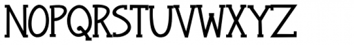 Janda Snickerdoodle Serif Bold Font UPPERCASE