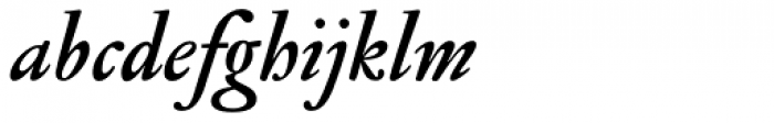 Jannon Antiqua Bold Italic Font LOWERCASE