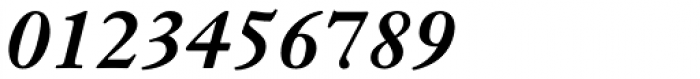 Janson Text Pro 76 Bold Italic Font OTHER CHARS