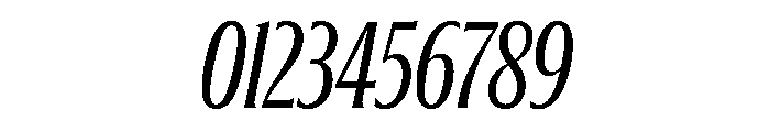 Jargon Regular Italic Font OTHER CHARS