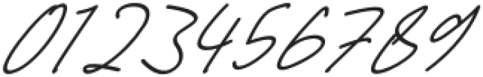 Jelitta Signature Italic otf (400) Font OTHER CHARS