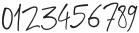 Jesitta Signature Swash Regular otf (400) Font OTHER CHARS