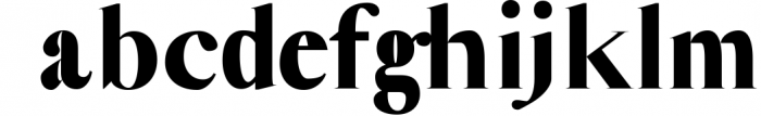 Jerrad Beautiful Serif Font Family Font LOWERCASE