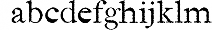 Jerricca Serif Typeface 3 Font LOWERCASE