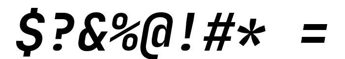 JetBrains Mono Bold Italic Font OTHER CHARS