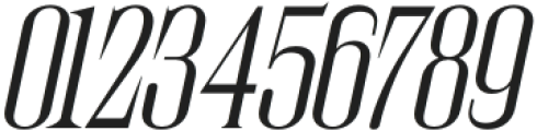 JHC Audemars Light Italic otf (300) Font OTHER CHARS