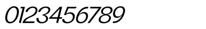 JHC Rasbora Regular Italic Font OTHER CHARS