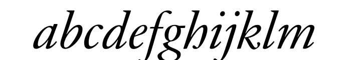 JJannon Italic Font LOWERCASE