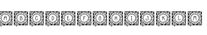 JLR Sunflower Font UPPERCASE