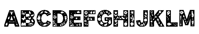 Joann Regular FONT