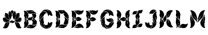 Joss Regular FONT