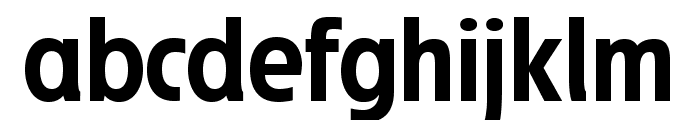 JosefProBold-Regularreduced Font LOWERCASE