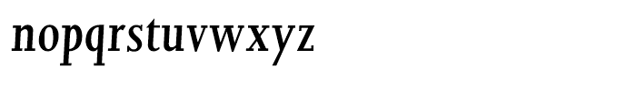 Joanna Hellenic Semi Bold Italic Font LOWERCASE