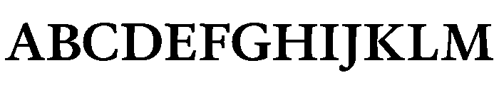 JTJavel Bold Font UPPERCASE
