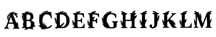Judy Regular FONT