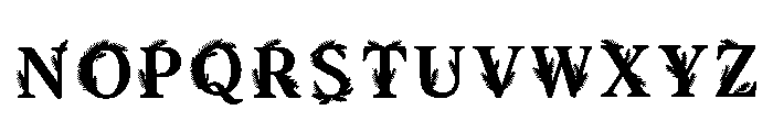 Judy Regular Font LOWERCASE