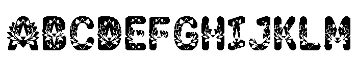 Juna Regular FONT