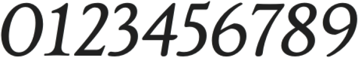 Justinia-BoldItalic otf (700) Font OTHER CHARS
