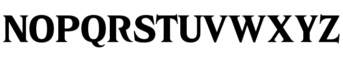 Junigarden Serif PERSONAL USE Regular Font UPPERCASE